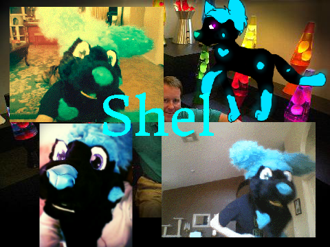 Shel Fursuit!!~