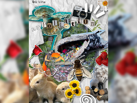pollution edit