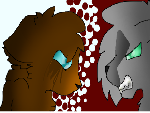 Took me by surprise Cat CC ~`ENTRY`~