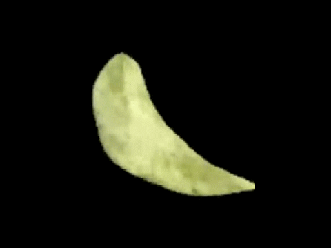 c          h          i          p