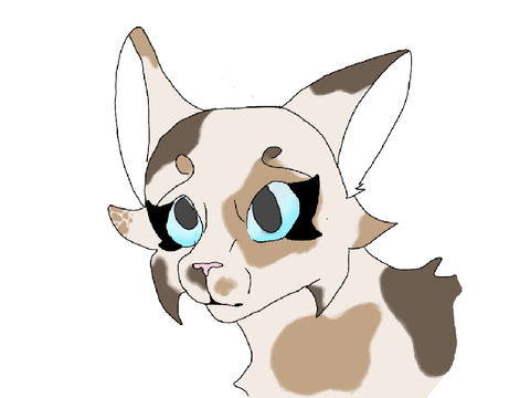 Pfp for @Urfavndiegirl