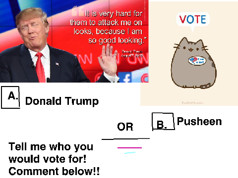 Voting Time