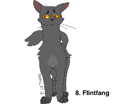 My Top 8 Fav. Warrior Cats