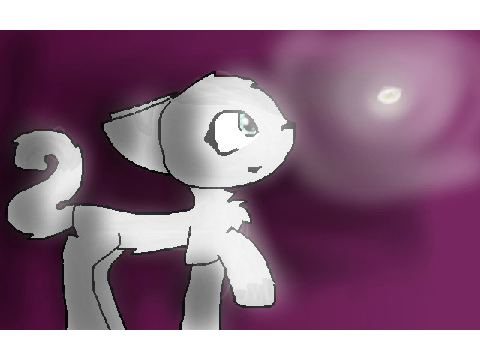 200th Follower Request!