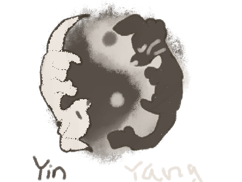yin yang