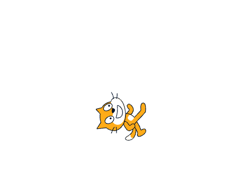 Scratch Cat Testing