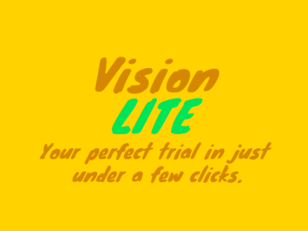 Vision LITE: Coding for Dummies