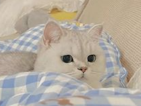 ㅤㅤㅤㅤㅤㅤㅤㅤㅤㅤ