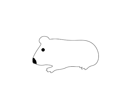Adopt a guinea pig