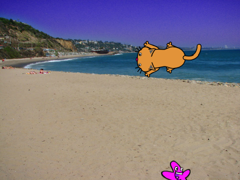 Catch the Starfish!