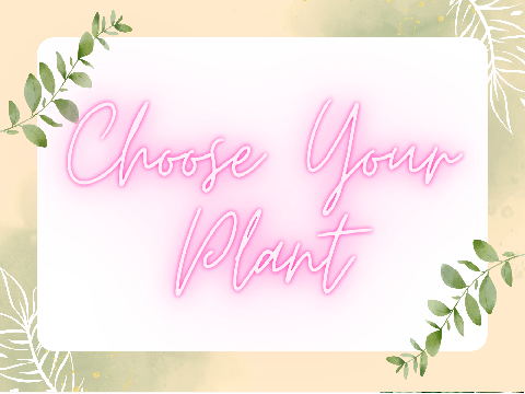 Choose Your Plant!!