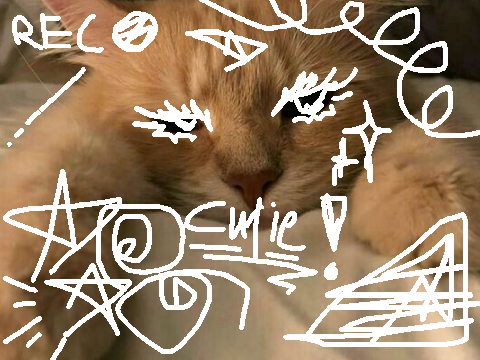 Project thumbnail