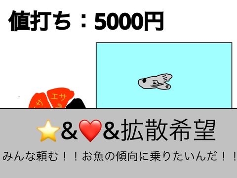 お魚育てて大出世ゲーム‼︎【拡散希望】