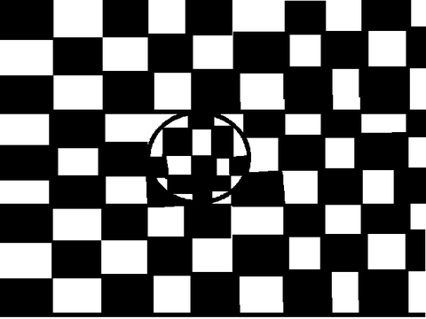 【•Optical Illusion•】