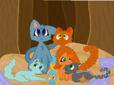 Spider'Star + family interview