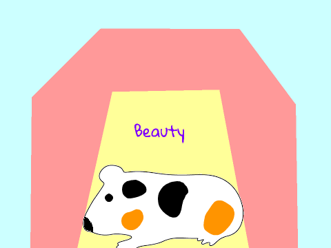 choko_kat's guinea pig