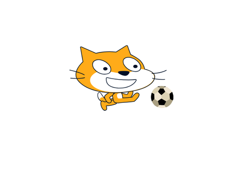 Soccer cat