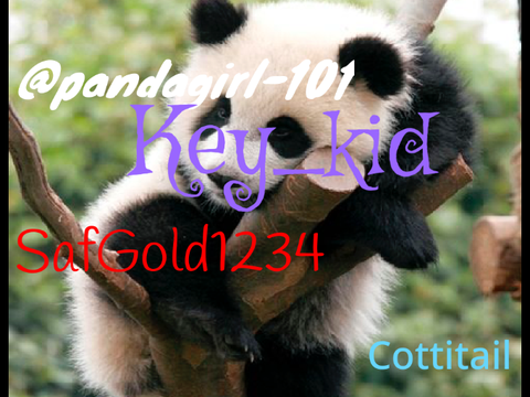 Pls sign if you don’t want pandas to get hurt!!!!!!!! remix remix remix
