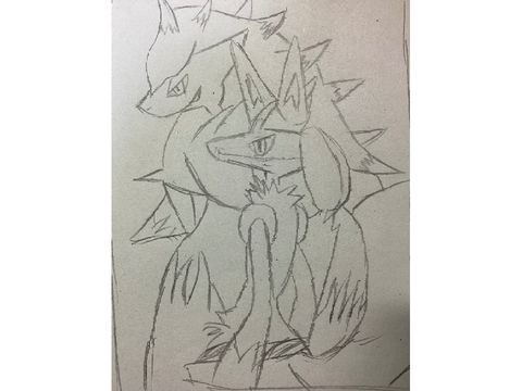 ゾロアークとルカリオ描きました〜