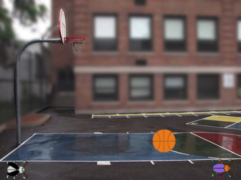 BASKETBALL BEETLE