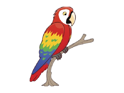 scarlet macaw talk