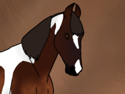 | horse update |