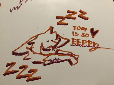 TOM CUZ I CAN >:D