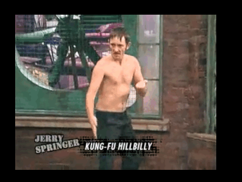 Kung Fu hillbilly