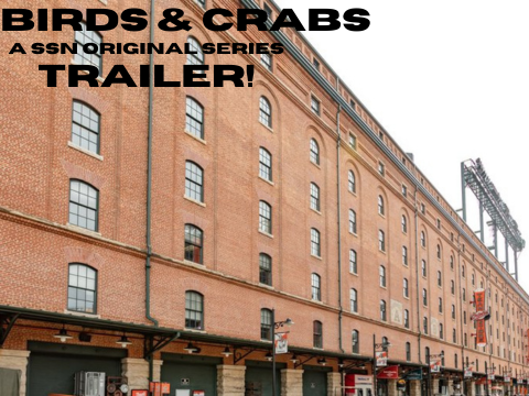 Birds & Crabs | Trailer | 
