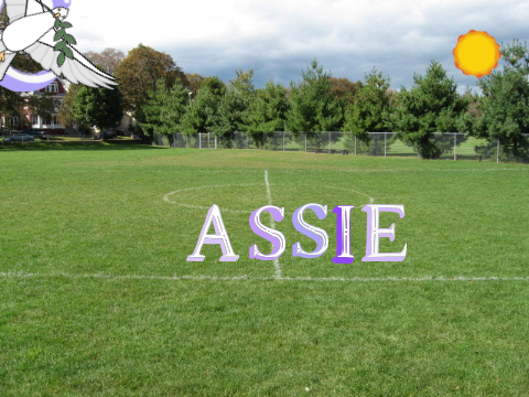 My Name