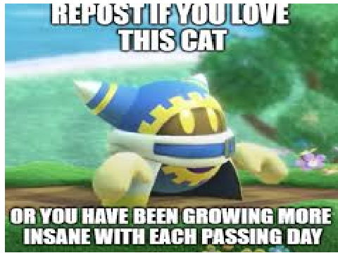 Repost if you love this cat or have been growing more insane with each passing day remix