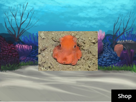Marine Fish 