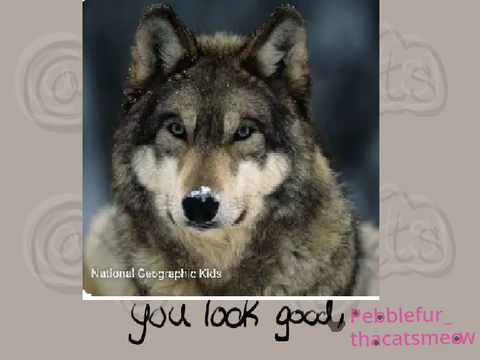wolf therian?