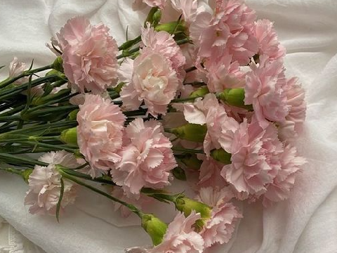 Project thumbnail