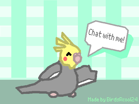 A studio pfp for chirpthecoder