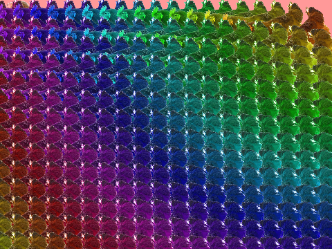 Rainbow Chickenz