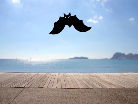 Fledermaus remix