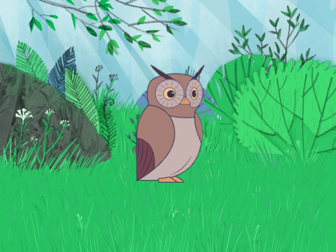 Owl