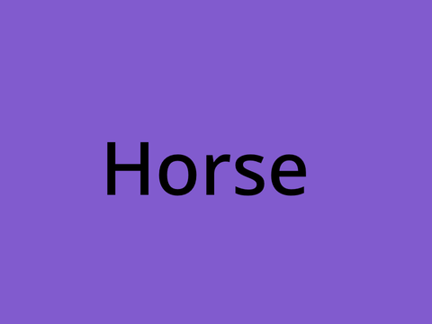 Horse.