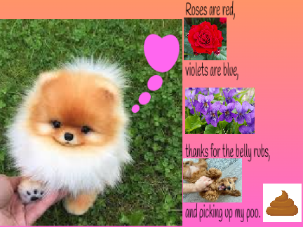  a dog's poem