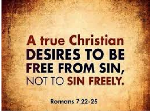 Romans 7:22-25