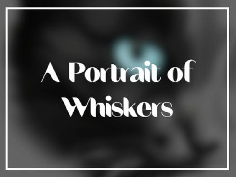 A Portrait of Whiskers