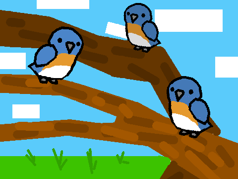 Western Blue Bird art