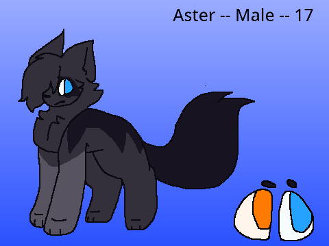 Aster. (Crystal Within Cameo)
