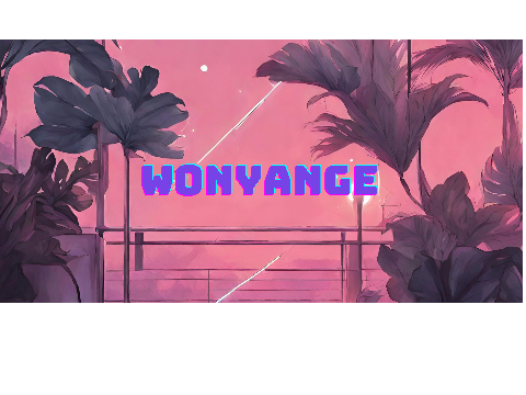 Banner Entry for Contest