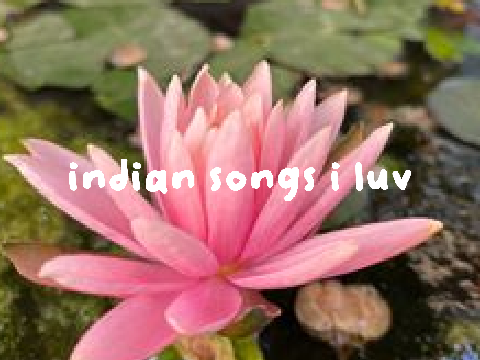  ੭⠀indian songs⠀i luv⠀<3
