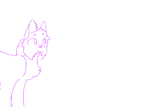 Animation Test