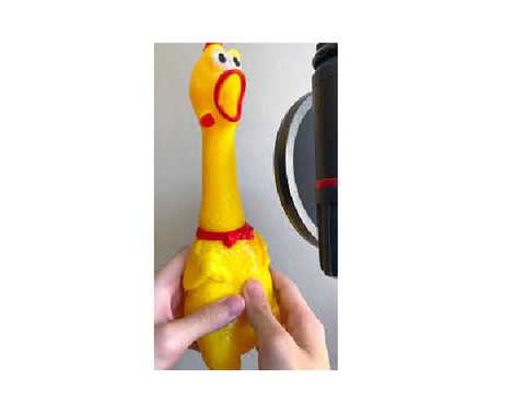 チキン君ｗｗ