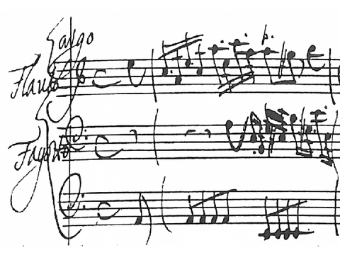 Music blocks test: Vivaldi - Sonata for recorder and bassoon