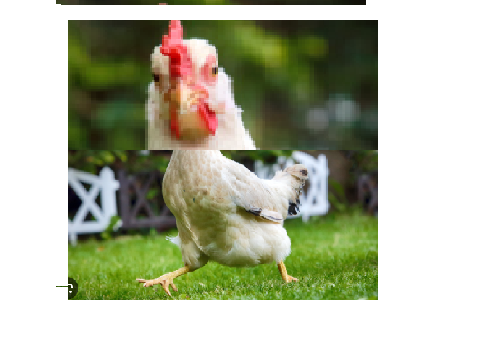  dresing Chicken 